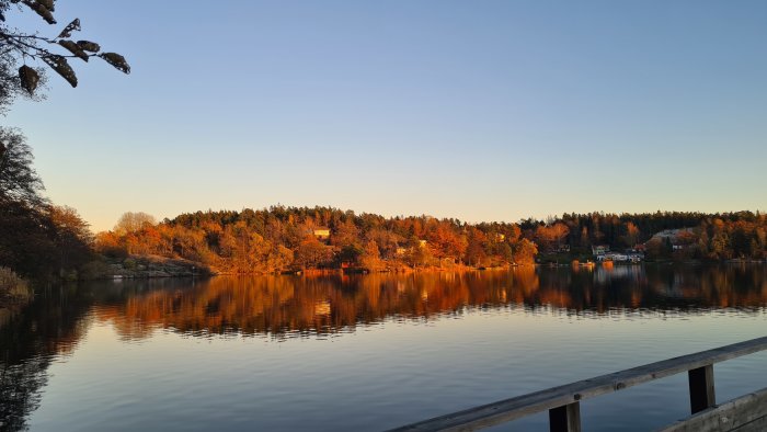 Solnedgång över en lugn sjö med spegelbild av träd och hus i vattnet, sedd från en brygga.