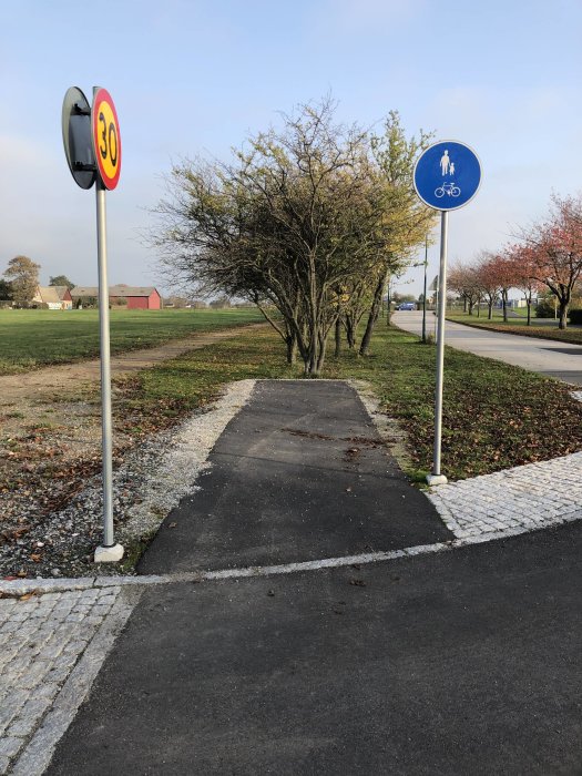 Cykelväg blockerad av ett träd mellan skyltar för gående, cyklister och hastighetsbegränsning.