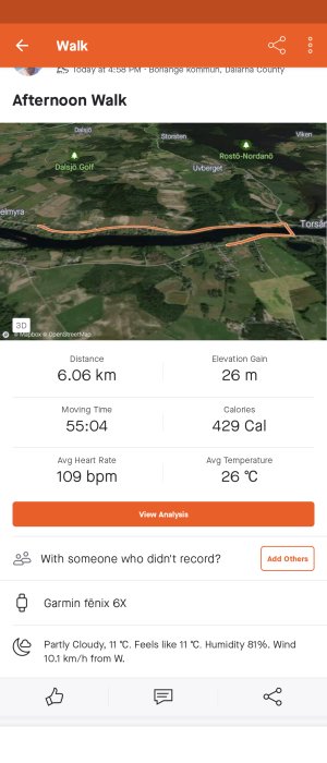 Aktivitetslogg för en eftermiddagspromenad med rutt, distans, tid, puls och kaloriförbrukning, plus väderinformation.