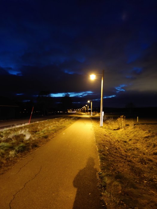 Kväll, upplyst gångväg, gatlyktor i rad, skymning, molnig himmel, personens skugga på marken.