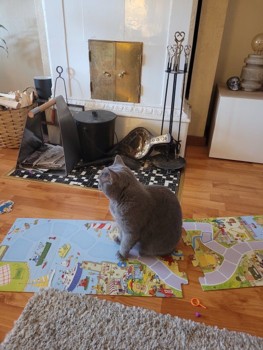 Grå katt på barnspel, inomhusmiljö med öppen spis och heminredningsdetaljer.