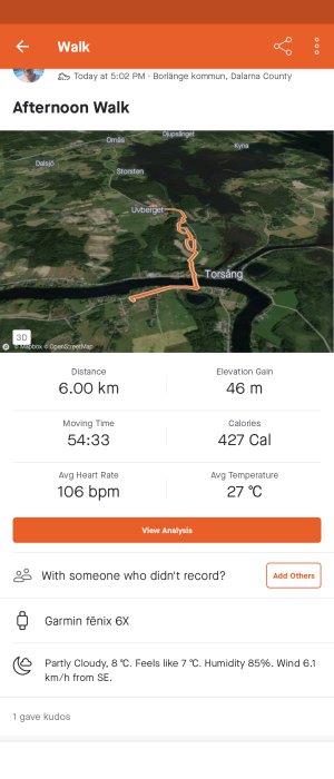 Aktivitetsöversikt: 6 km promenad, Borlänge kommun, 54 minuter, 427 kalorier, Garmin enhet.