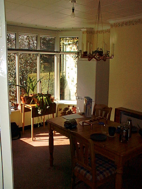 Solljus i matsal med bord, stolar, krukväxter och fönster mot trädgård. Hemtrevlig atmosfär, ljus inredning.
