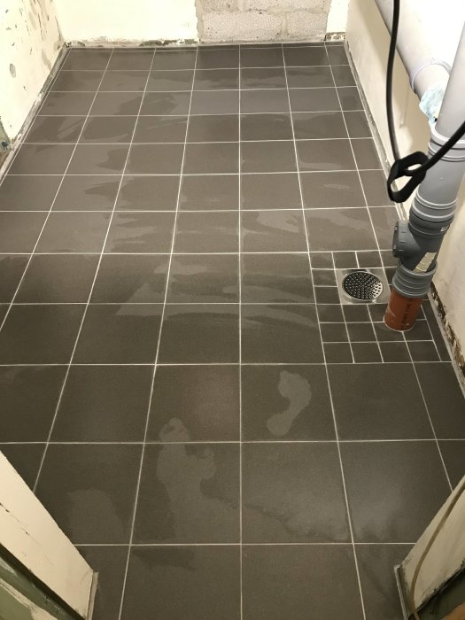Ett nyligen städat eller vått kakelgolv med avlopp, rör och yttre hörn synliga.
