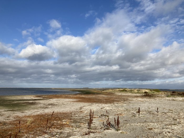 Vidsträckt kustlandskap, sand, vegetation och dramatisk himmel med moln.