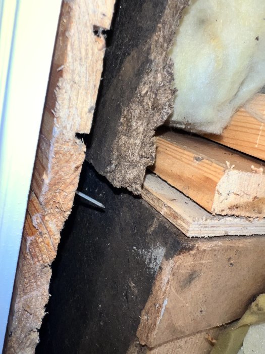 Delvis uppbrutna träkonstruktioner och isolering, möjlig vattenskada eller röta, närbild inomhus.