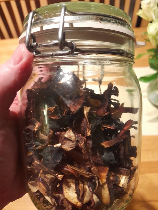 Ett glasburk med stängningsmekanism fyllt med torkade svampar hålls av en hand.