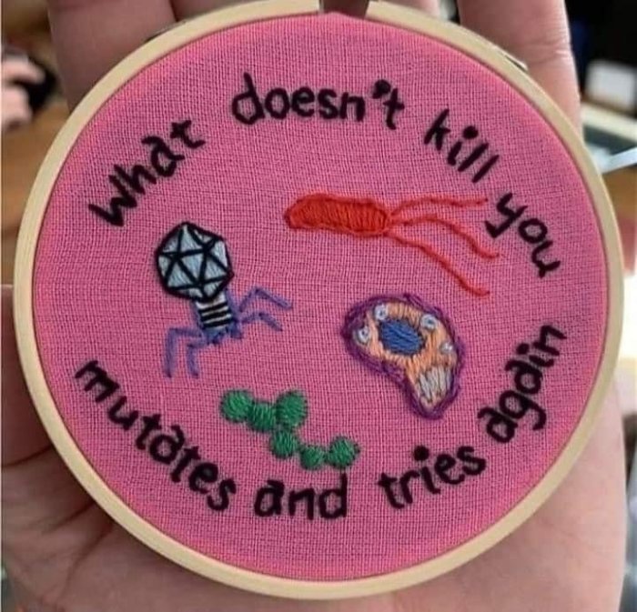 Broderad text "What doesn't kill you mutates and tries again" med mikrober och virus på rosa bakgrund.