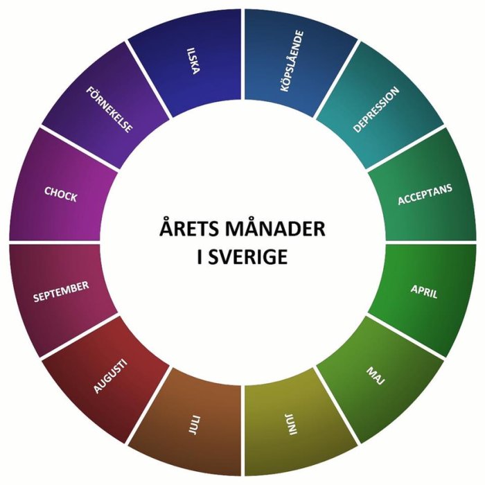 Cirkeldiagram i färger representerar månader i Sverige med känslomässiga stadier, från chock till acceptans.