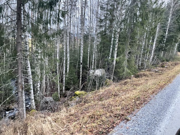 Skogsbryn vid grusväg, tidig vår, barr- och lövträd, övergivet objekt bland träd, dagtid, molnigt, nordiskt landskap.