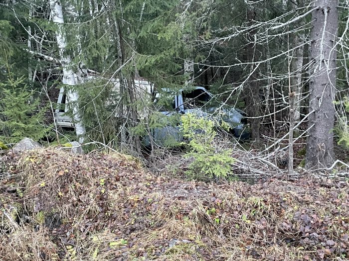 Försummad bil överväxt av skog, gömd bland träd och lövverk, försummad och övergiven miljö.