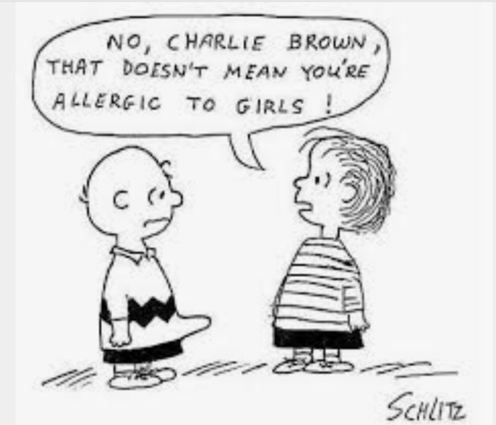 Två animerade karaktärer, pratbubbla, missförstånd om allergi, humoristisk, svartvitt tecknad serieruta.