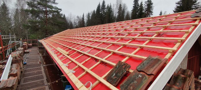 Renovering av takstomme med röd takpapp, skogsbakgrund, gamla takpannor, byggnadsställning, gråmulen himmel.