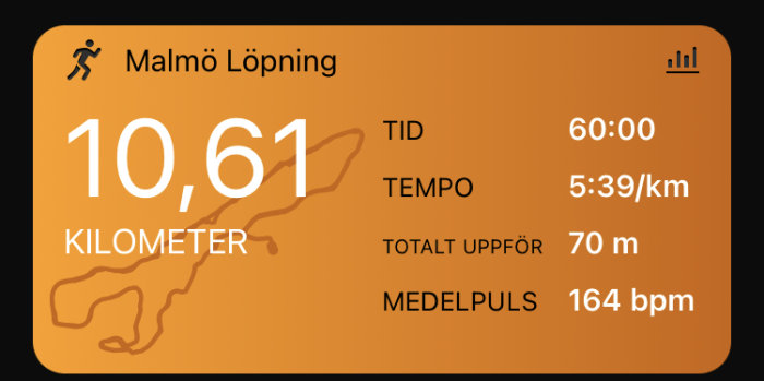Skärmavbild av löpapp med distans, tid, tempo, höjdmätning och pulsdata för löpning i Malmö.