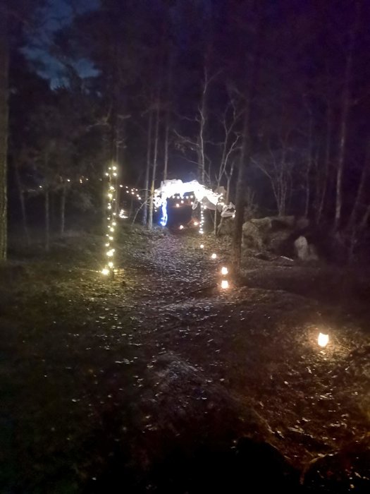 Natt, skog, ljusslingor, facklor, tält, stig, dunkel belysning, festlig eller ceremoniell atmosfär, utomhusevenemang.