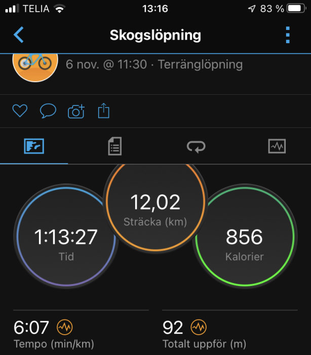 Skärmdump av träningsapp visar detaljer om en skogslöpning: sträcka, tid, kaloriförbrukning, tempo, höjdförändring.