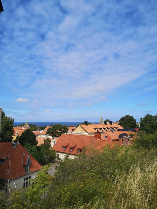 Stadsvy med tegeltak, gröna träd, blå himmel med vita moln, hav i bakgrunden.