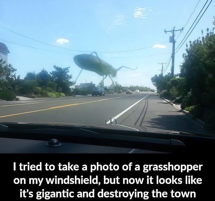 Gräshoppa på vindrutan ser ut som jättelik, bilväg, stad, optisk illusion, klar himmel.