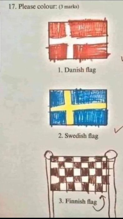 Ett prov med färglagda skandinaviska flaggor; danska och svenska inkorrekt, finska korrekt, markerad med check.