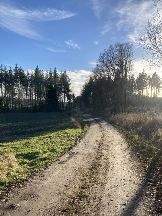 Lantlig väg, träd, skog, blå himmel, vita moln, ljusspel, ingen person synlig.