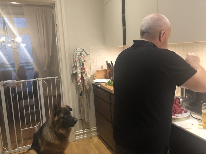 Man i kök maler kött; tysk schäferhund tittar på; hemlig matlagning; mysig inomhusmiljö.