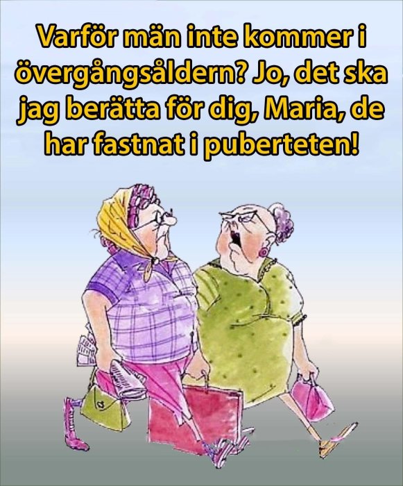 Karikerade äldre damer pratar, skämttext, shopping, överdrivna drag, humoristisk illustration, färgglad.
