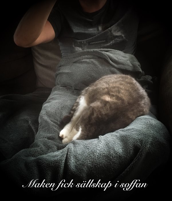 En person och en katt vilar på soffan. Texten lyder "Maken fick sällskap i soffan".