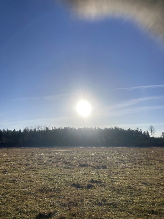 Soligt landskap, fält, skogskant, klarblå himmel, molnigheter, sken, natur, dagtid, fridfullt, horisont, solens reflexioner.