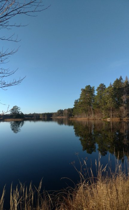 Klart vatten, spegelreflektioner, skog, lugn sjö, blå himmel, ingen människa, natur, dagtid.