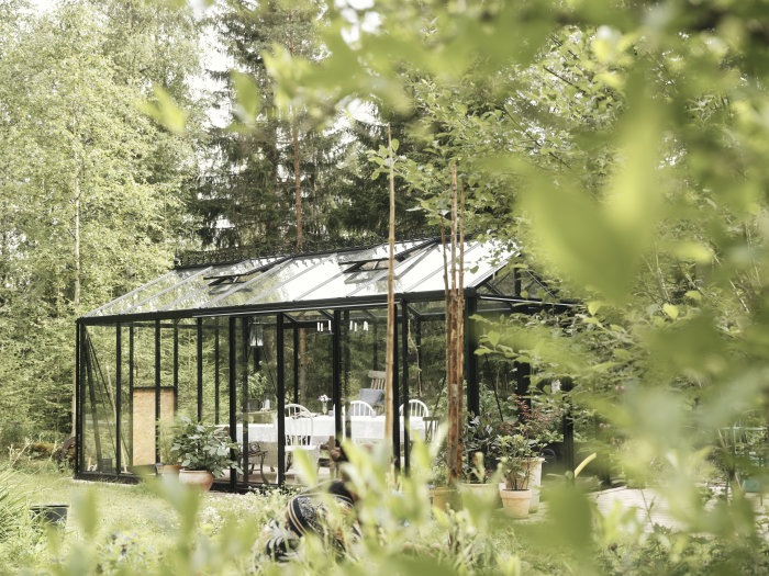 Ett glasväxthus i en skogsmiljö med växter och trädgårdsmöbler, inbäddat i grönskande natur och fridfull atmosfär.