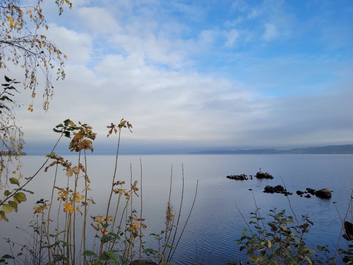 Stillahavet, höstens löv, klippor i vatten, moln, lugnt, natur, blå nyanser, fredsamt landskap.