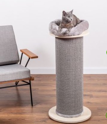 Grå katt ligger avslappnad på kattklosträd, inomhus, minimalistiskt rum, trägolv, modern soffa i bakgrunden.