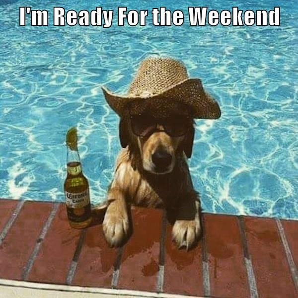 Hund med solhatt och solglasögon vid poolkanten, bredvid ölflaska, med text "I'm Ready For the Weekend".