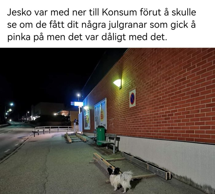 Hund vid butik på kvällen. Tomt gatuställ för julgranar. Besvikelse över avsaknaden av granar.