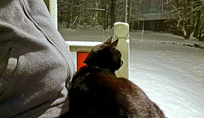 En katt sitter på ett snöigt däck bredvid en person i en fåtölj.