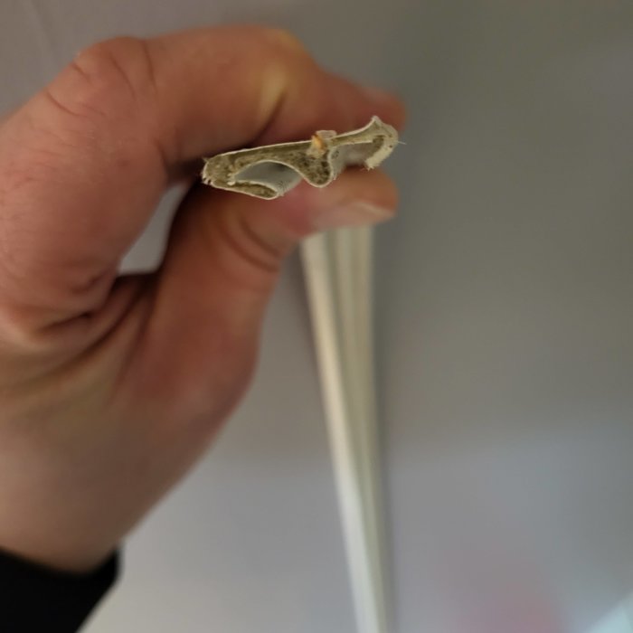 Hand håller liten benbit, troligen ett djurs kraniefragment, närbild med suddig bakgrund.