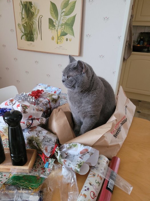 Grå katt sitter bland inslagningspapper och julklappar på ett bord inuti ett hus.