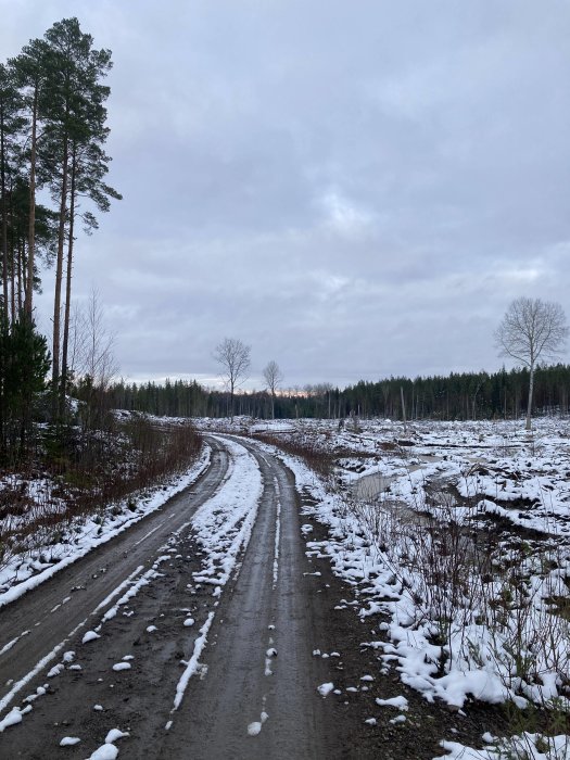 Molnig himmel, snöfläckar, slingrande grusväg, skogsbryn, tidig vinter eller sen höst.