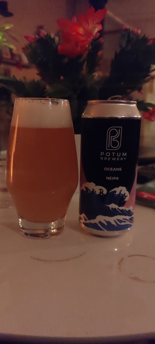 Ett glas öl bredvid en burk från Potum Brewery med blommor i bakgrunden.