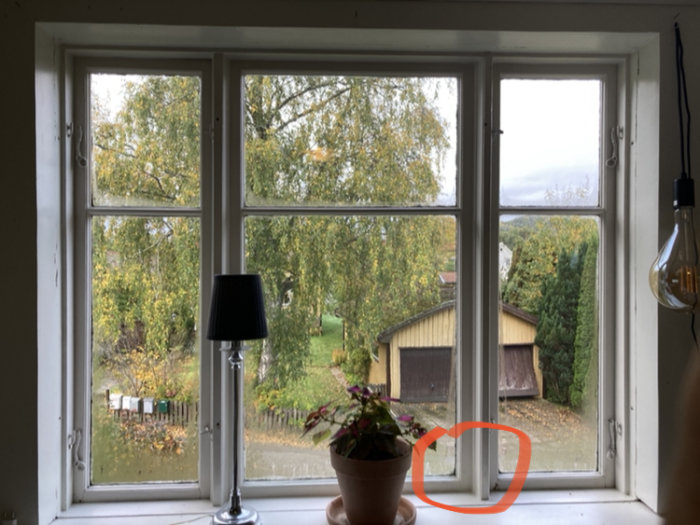 Ett fönster med utsikt över en trädgård, träd, en byggnad, en bordslampa, en hängande lampa och en krukväxt.