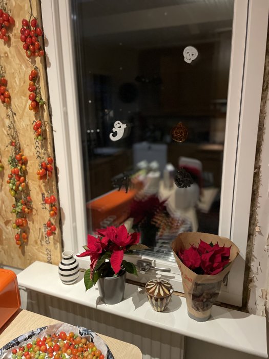 Ett fönster med tomatrankor, julpynt, julstjärnor och Halloween-dekaler på glaset. Inomhusmiljö, kvällstid, hemtrevlig atmosfär.