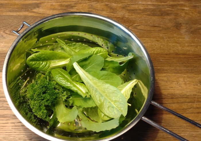 Gröna bladgrönsaker i durkslag på träbord. Spenat och örter. Fräsch, matförberedelse, köksredskap.
