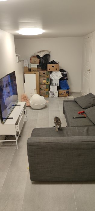 Vardagsrum med flyttlådor, möbler, en katt, och en påslagen TV. Flyttstök eller packning pågår.