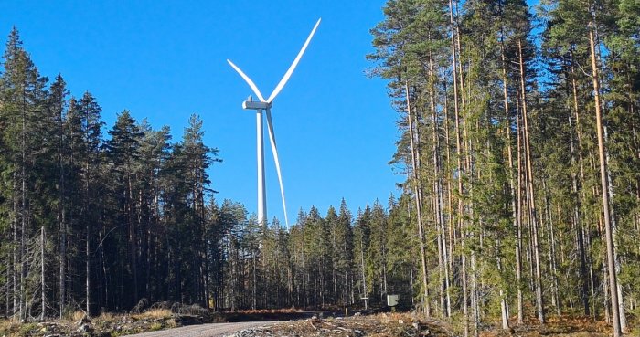 Vindkraftverk i skogsglänta, mot klarblå himmel, väg i förgrunden, hållbar energi, solig dag.