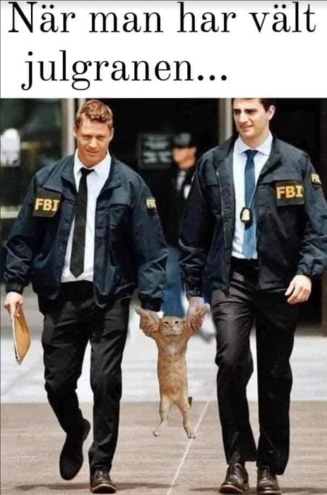 Två män i FBI-jackor går, photoshoppad katt ser ut som en fånge. Humoristisk, absurd, manipulerad bild.