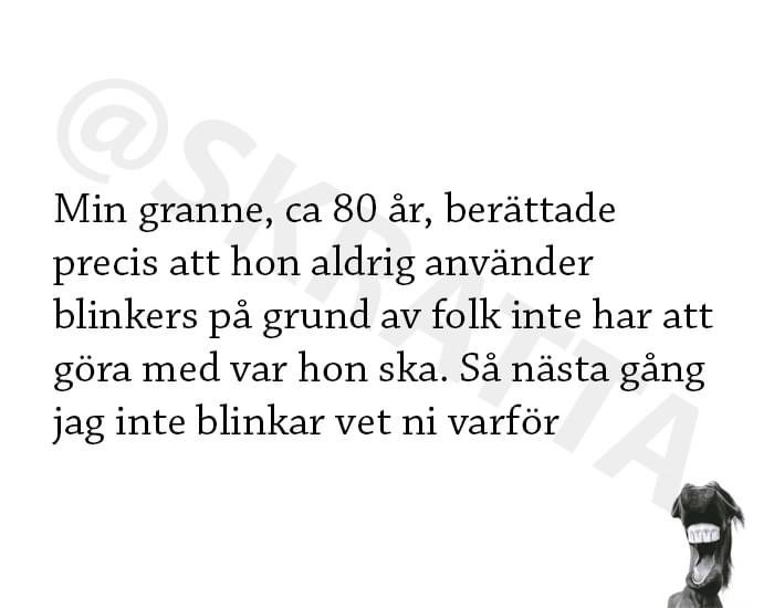 Text om granne som inte använder bilblinkers med humoristisk ton. Svartvit bild, vattenstämpel i övre vänstra hörnet.