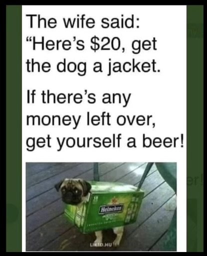 En hund bär en Heineken-öllåda, bredvid en humoristisk text om att köpa en jacka och öl.