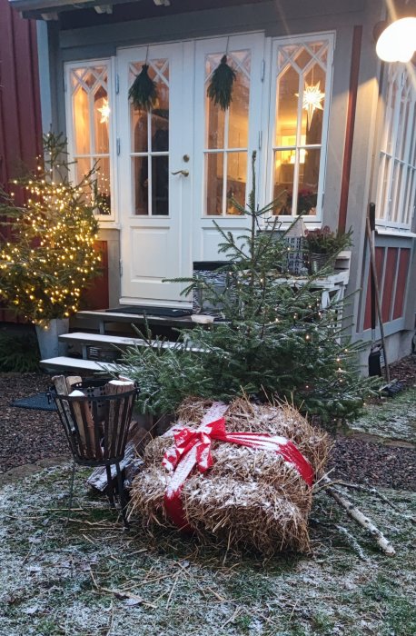 Snödäckt trädgård med julgranar, halmbal med rosett och upplyst fönsterstjärna, kvällstid.