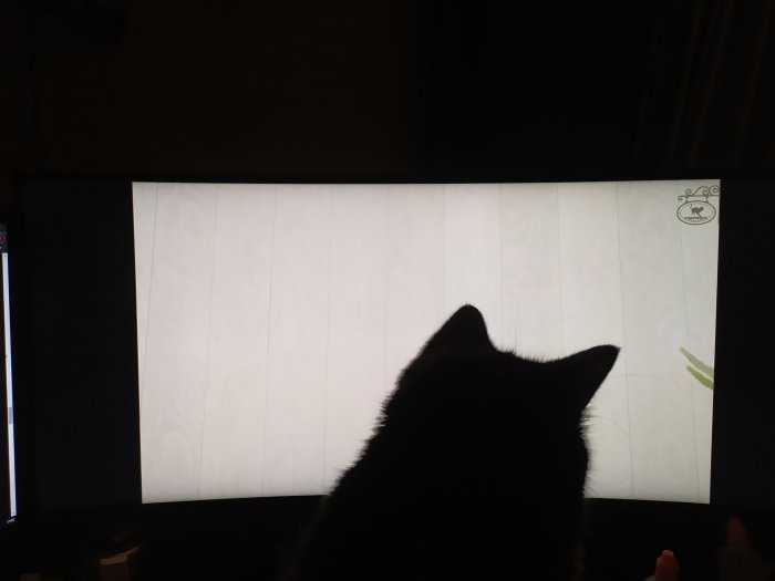 Katt tittar på en vit skärm med ljusa trätexturer och en liten grön detalj.
