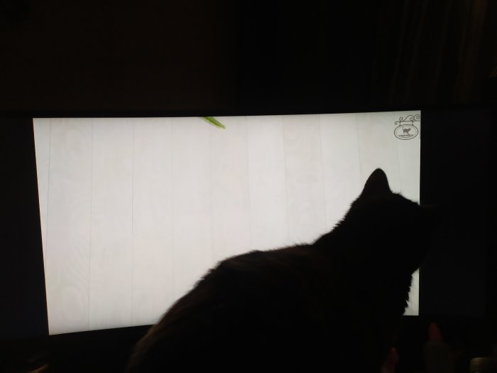 En katt ser på en skärm med en ljus bakgrund och en liten grön fjäril illustration uppe i hörnet.